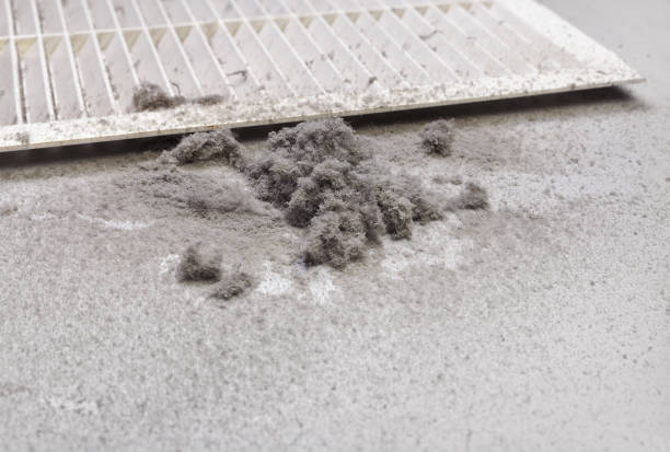 Best Ductwork Cleaning Services  in Laurie, MO