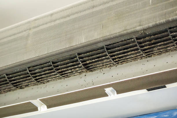 Best Commercial Air Duct Cleaning  in Laurie, MO
